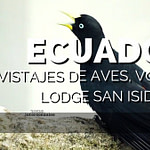 Avistajes de Aves, Volcanes y Lodge San Isidro, Ecuador